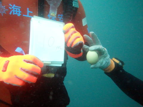 生卵を持つ潜水士